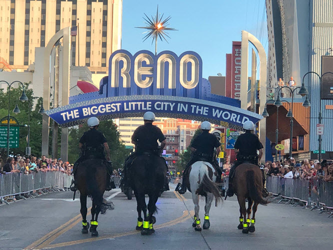 Horse Mounted Unit